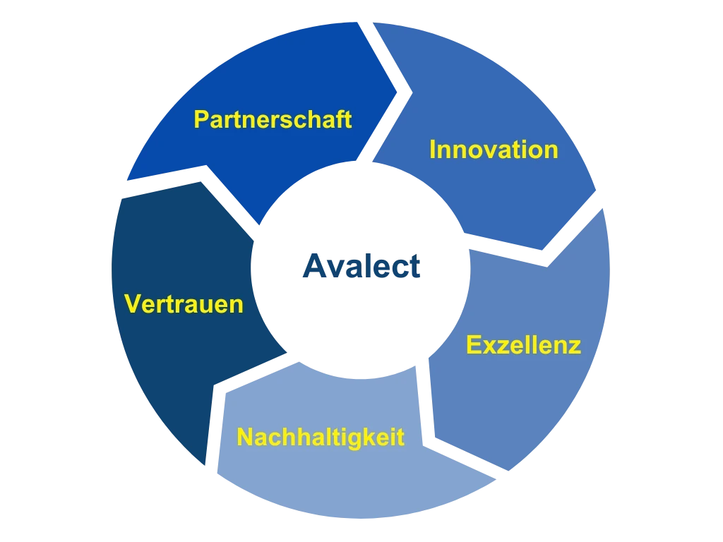 Die fünf Kernwerten von Avalect: Partnerschaft, Innovation, Exzellenz, Nachhaltigkeit und Vertrauen.
