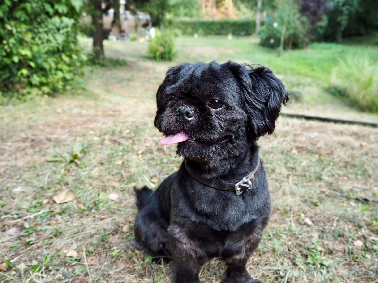 Sammy 