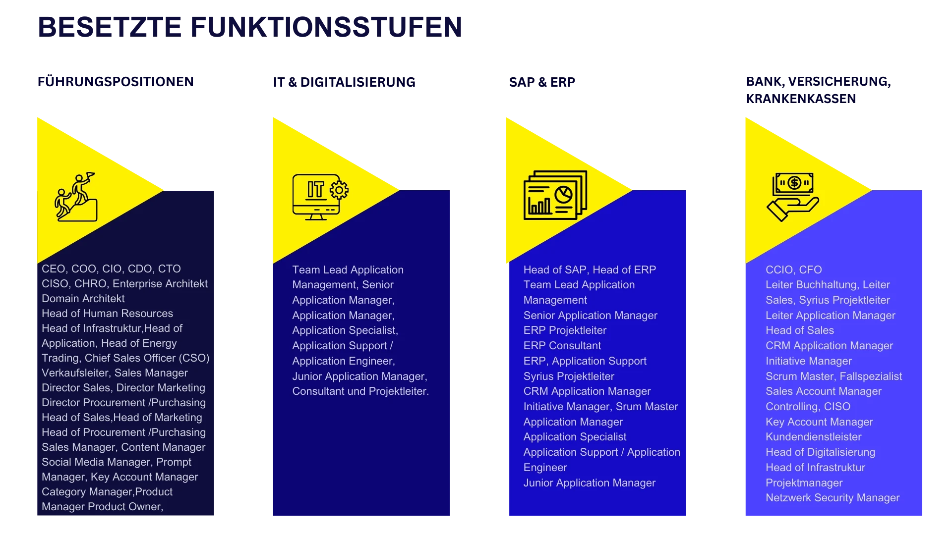 Besetzte Funktionsstufen – Fokus auf ICT, Energie, ERP, Banken, Versicherungen. Rollen wie: CEO, CIO, CTO, CFO, HR Leiter, Sales Manager, Application Manager, Senior und Junior.