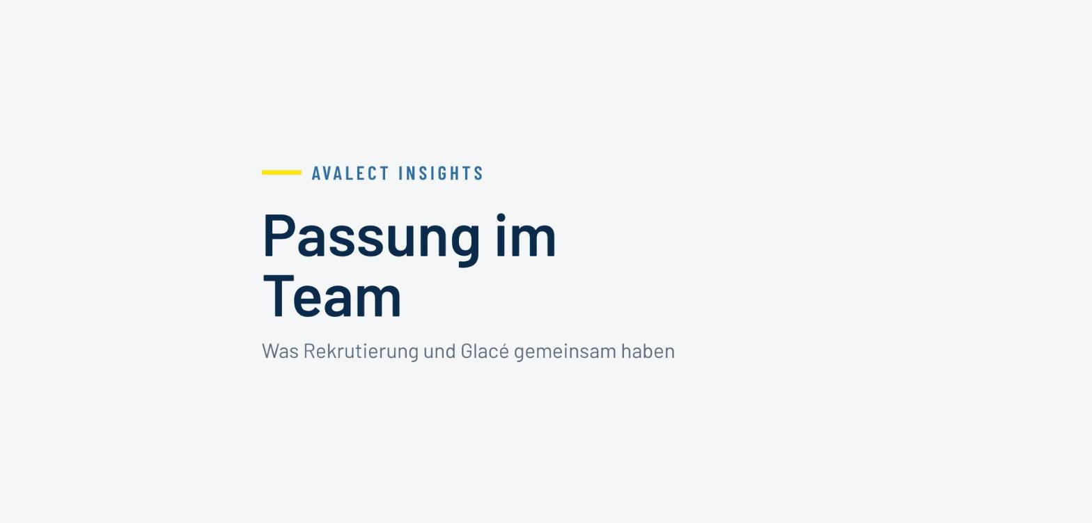 Avalect Insights: Passung im Team